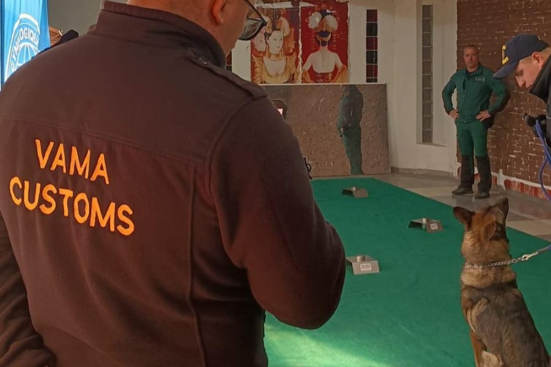 Sesión de entrenamiento de perro Sesión de entrenamiento de perro