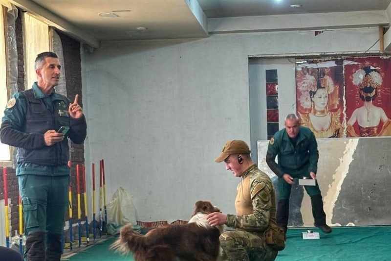 Sesión de entrenamiento de perro Sesión de entrenamiento de perro