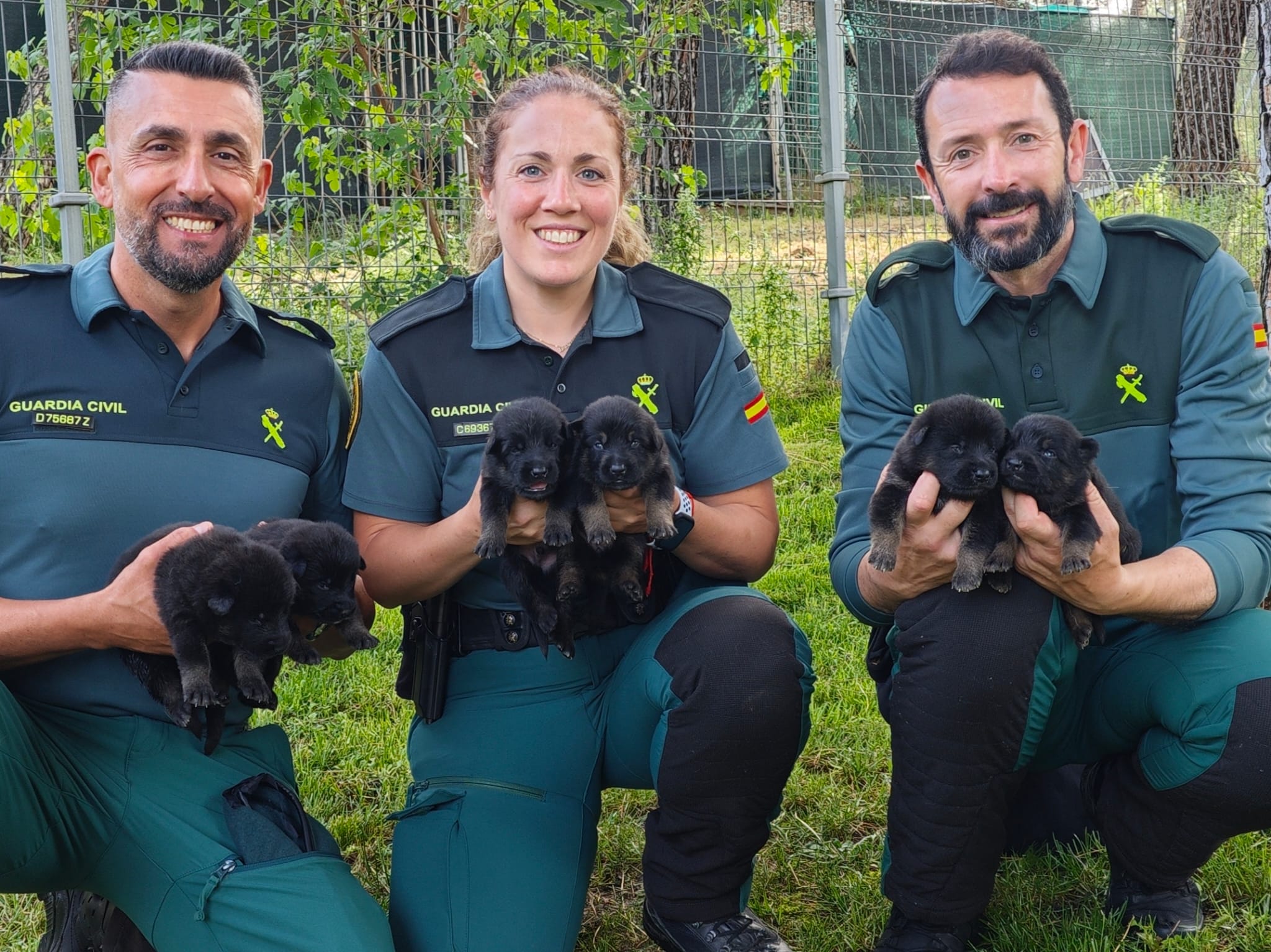 Acoge un cachorro antes de su preparación como especialista de la Guardia Civil