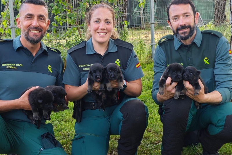 Guardias del Servicio Cinológico con cachorros del plan fenix Guardias del Servicio Cinológico con cachorros del plan fenix