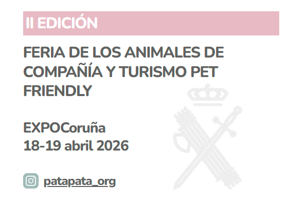Pata pata