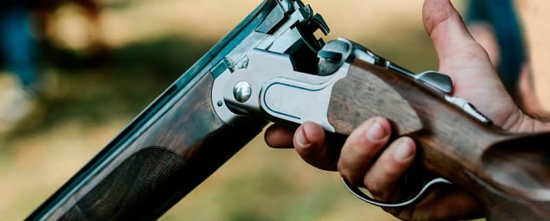 Licencia armas E Licencia armas E