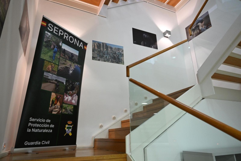 Dependencias de la sede del Instituto Nacional de Seguridad Ambiental (INSA) de la Guardia Civil Dependencias de la sede del Instituto Nacional de Seguridad Ambiental (INSA) de la Guardia Civil