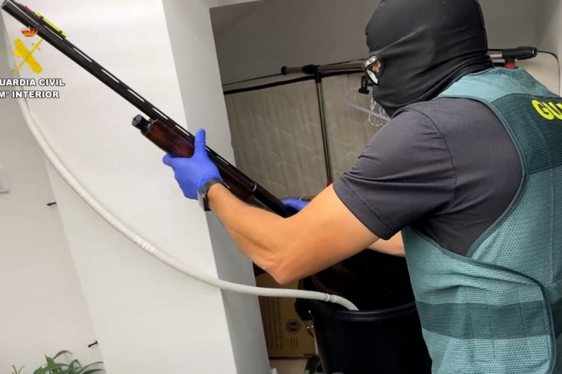 35 detenidos e incautadas cerca de 17.000 plantas de marihuana en una macrooperación contra el tráfico de drogas