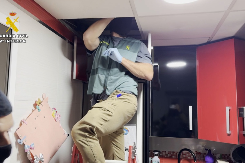 35 detenidos e incautadas cerca de 17.000 plantas de marihuana en una macrooperación contra el tráfico de drogas