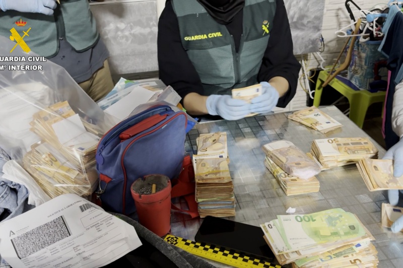 35 detenidos e incautadas cerca de 17.000 plantas de marihuana en una macrooperación contra el tráfico de drogas