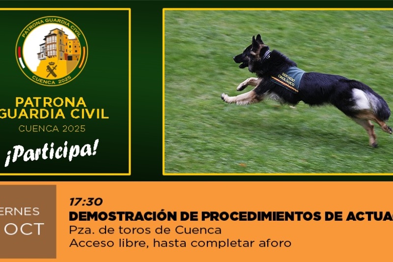 Demostración procedimientos de actuación
