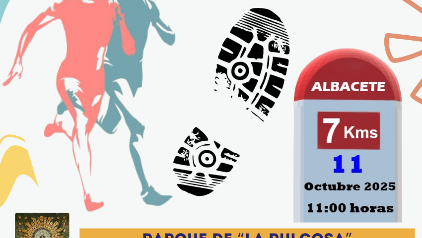 VII Carrera solidaria Virgen del Pilar