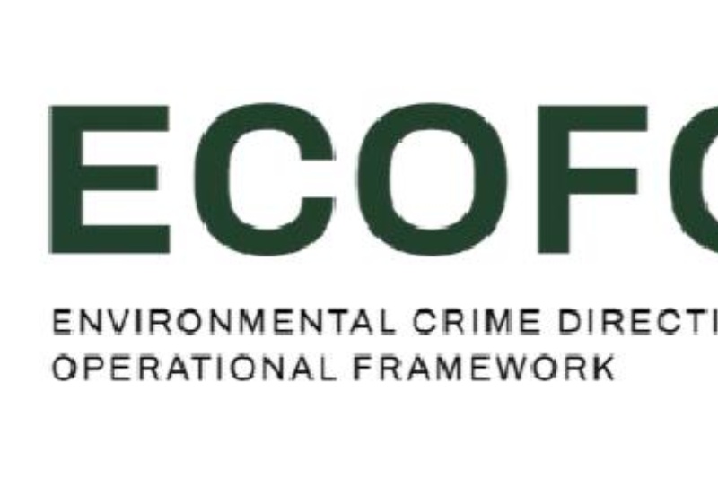 ECOFORCE (LIFE-2025-PLP-NAT-ENV 101295126) – Servicio de Protección de la Naturaleza (SEPRONA) ECOFORCE (LIFE-2025-PLP-NAT-ENV 101295126) – Servicio de Protección de la Naturaleza (SEPRONA)