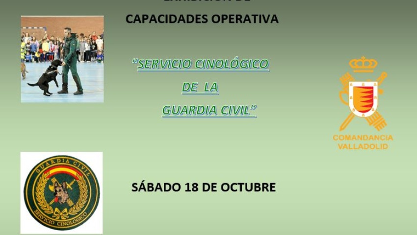 Exposición de medios