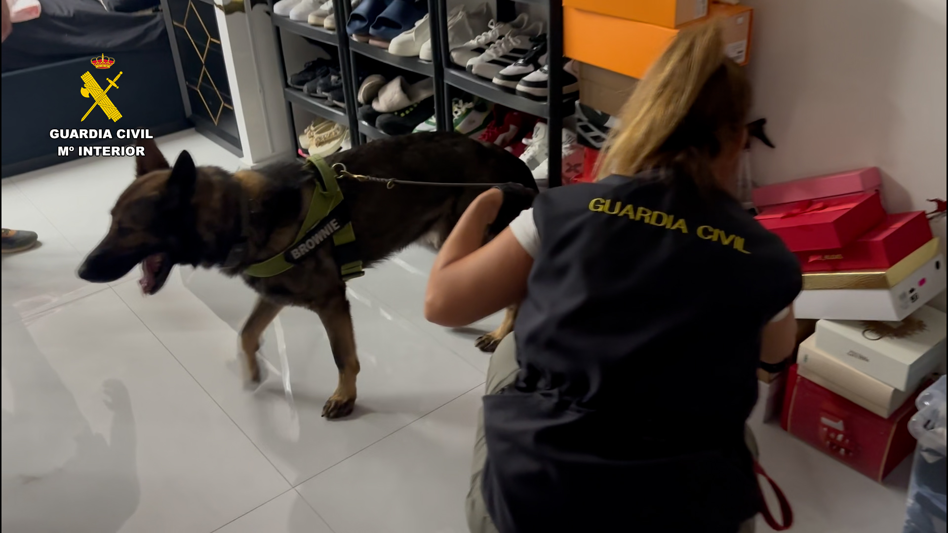 Registro con un agente de la Guardia Civil y can