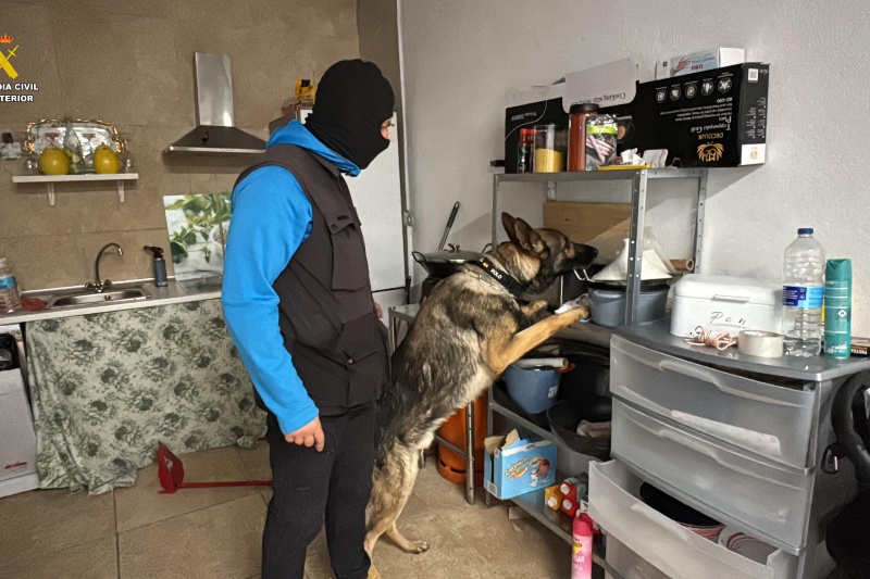 Un guardia civil y un perro realizan el reconocimiento para localizar drogas, dinero... en una cocina