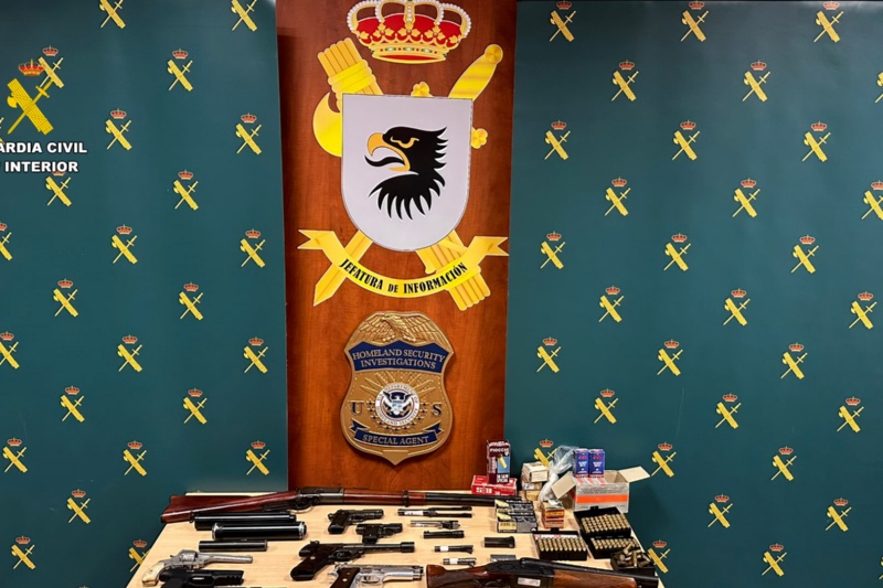 Numerosas armas de fuego intervenidas