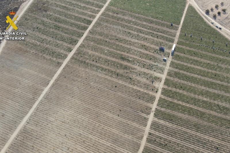 La Guardia Civil detecta más de 900 infraestructuras ilegales de extracción y acumulación de agua La Guardia Civil detecta más de 900 infraestructuras ilegales de extracción y acumulación de agua