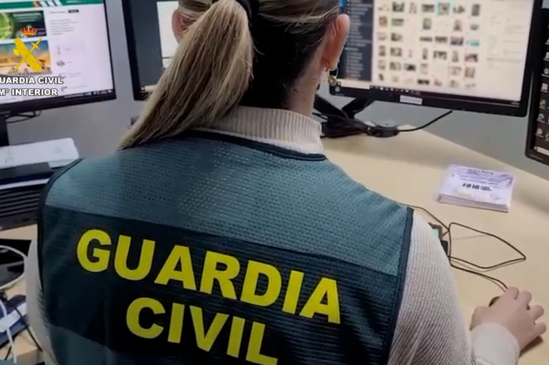 Otros 11 países europeos han participado en la bautizada como operación FEVER. En total se ha detenido a 166 personas y se han intervenido más de 6.000 dispositivos electrónicos y casi 600.000 archivos de imágenes