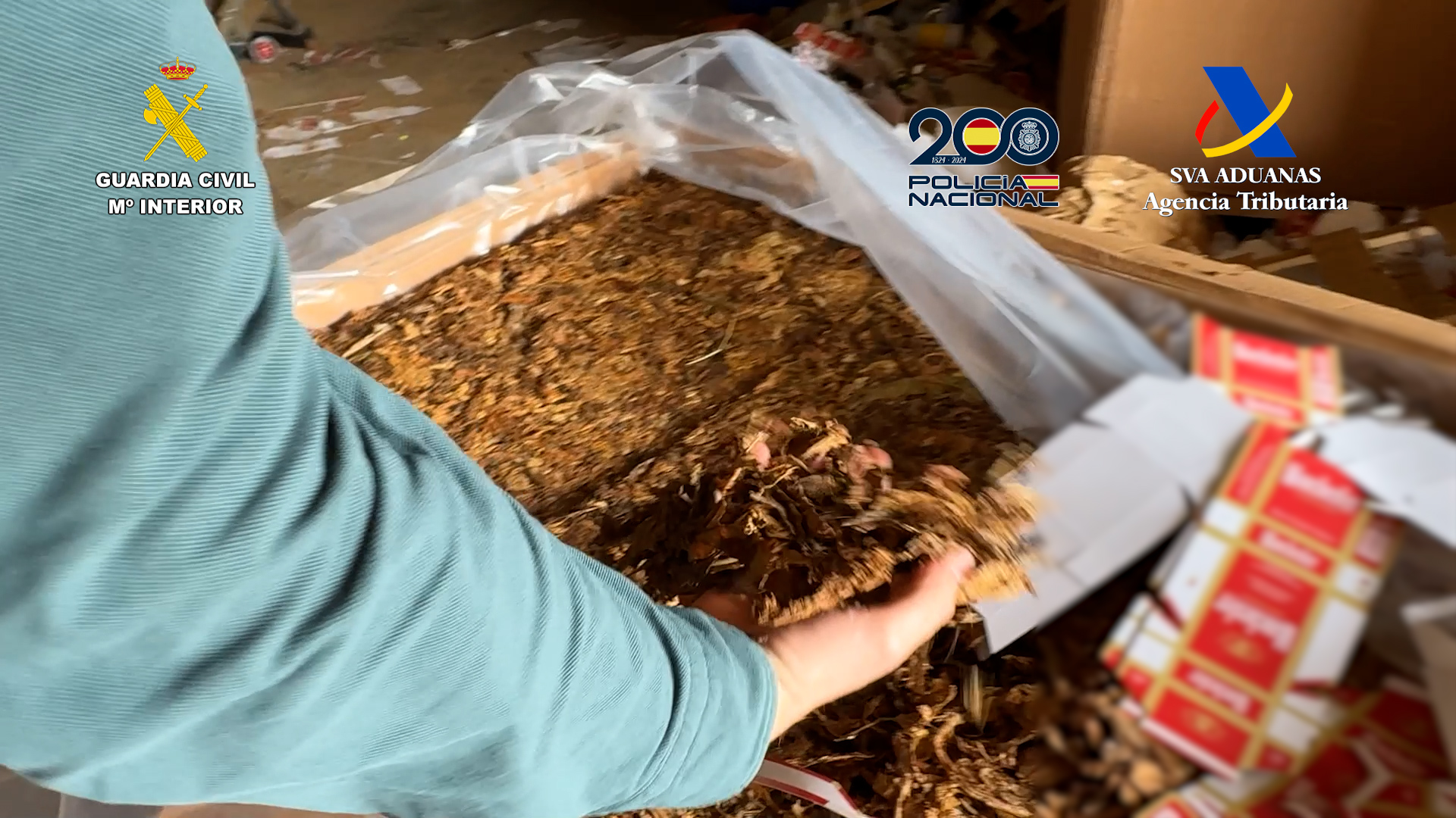 Más de 300.000 cajetillas intervenidas y siete detenidos en una operación contra la fabricación clandestina de tabaco