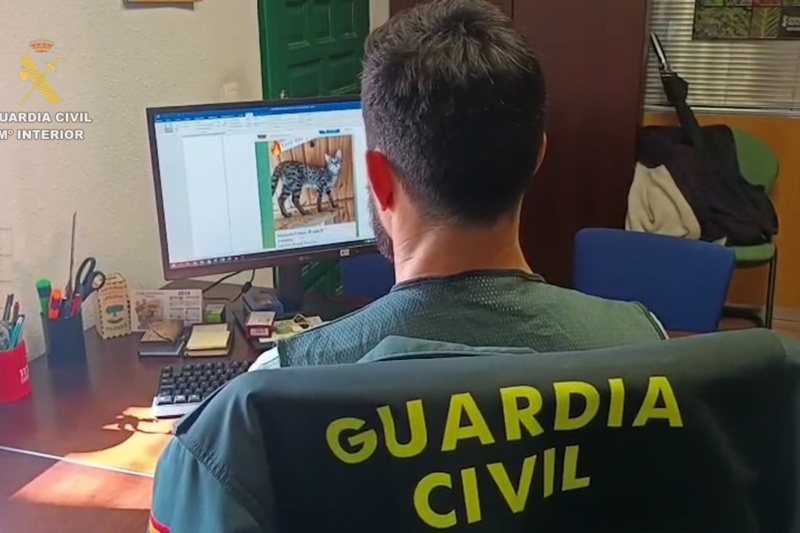 Detenidas dos personas por vender a través de internet animales exóticos