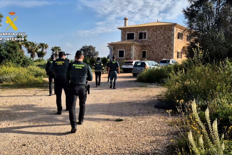Detenidas dos personas por vender a través de internet animales exóticos