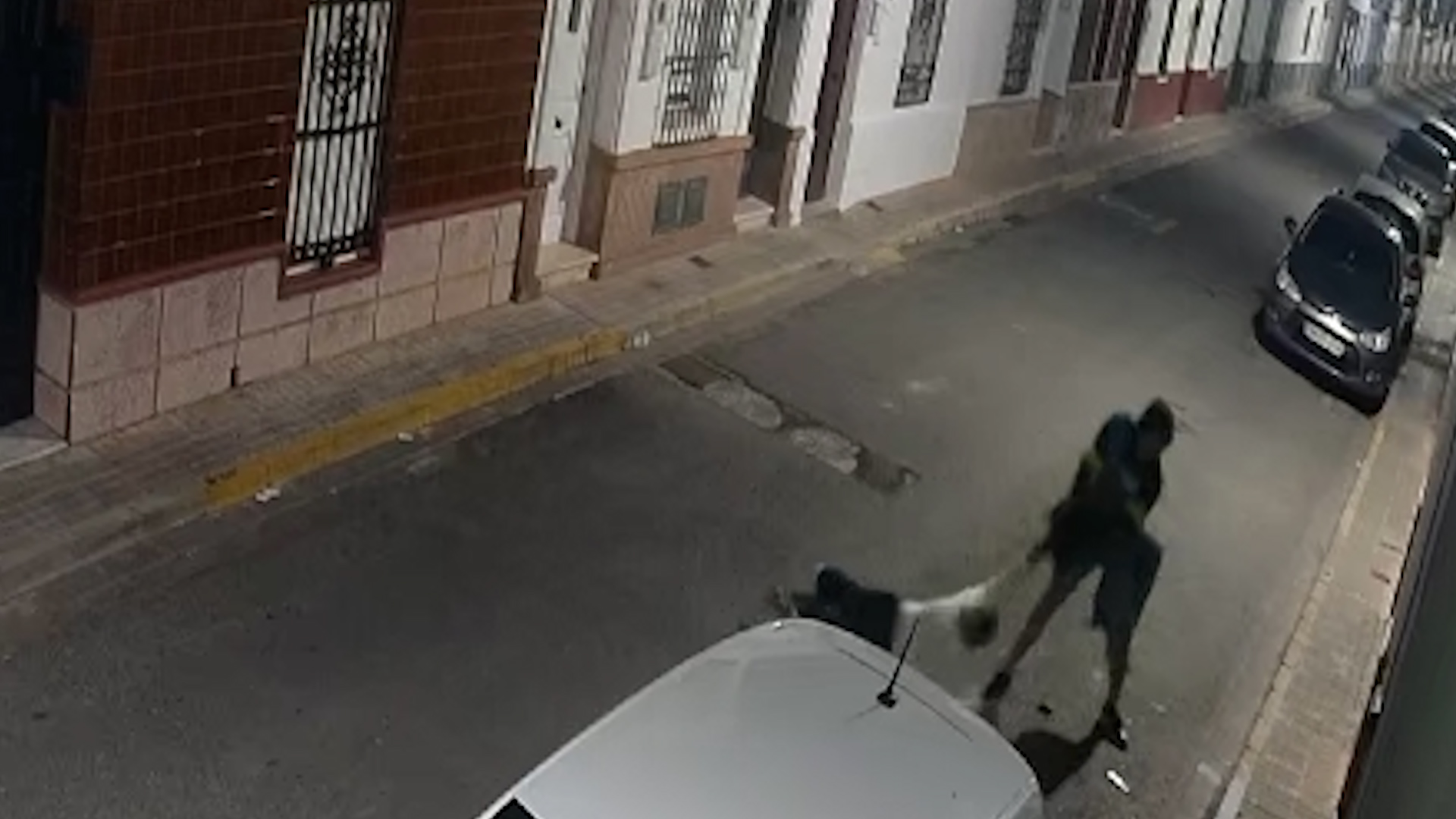 Detenido un hombre por un violento robo a una mujer en plena calle de Brenes (Sevilla)