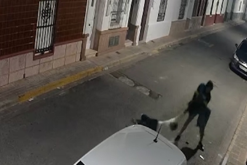 Detenido un hombre por un violento robo a una mujer en plena calle de Brenes (Sevilla)