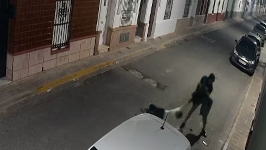 Detenido un hombre por un violento robo a una mujer en plena calle de Brenes (Sevilla)