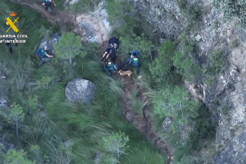 Desmantelados nueve invernaderos con plantaciones de marihuana en mitad del monte en Teruel