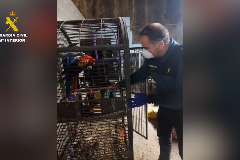 La Guardia Civil halla 250 cadáveres de animales en un criadero clandestino en A Coruña