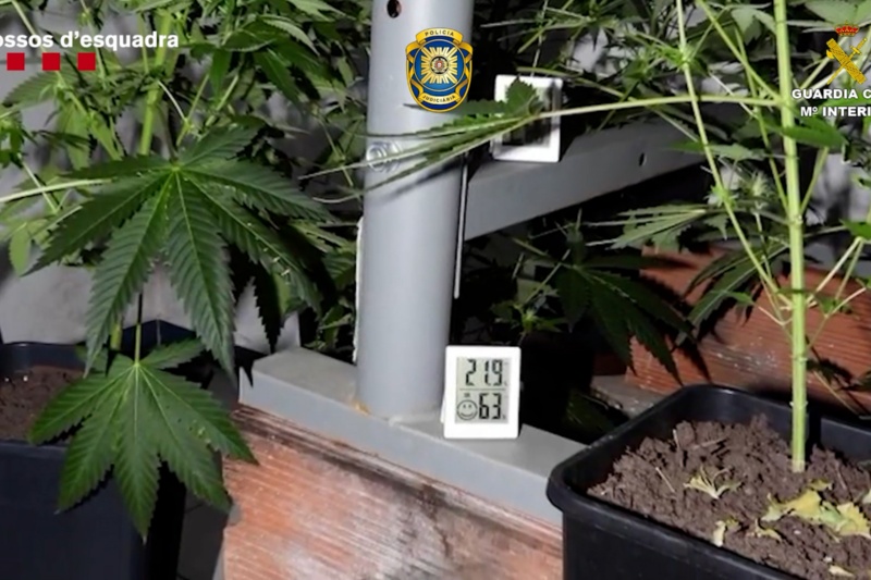 Desarticulada una red transnacional de trata de seres humanos con fines de explotación sexual Desarticulada una red transnacional de trata de seres humanos con fines de explotación sexual