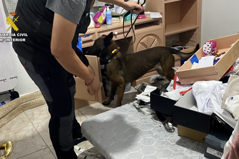 Detenidas 11 personas por favorecer la migración irregular desde Ceuta a la península Detenidas 11 personas por favorecer la migración irregular desde Ceuta a la península