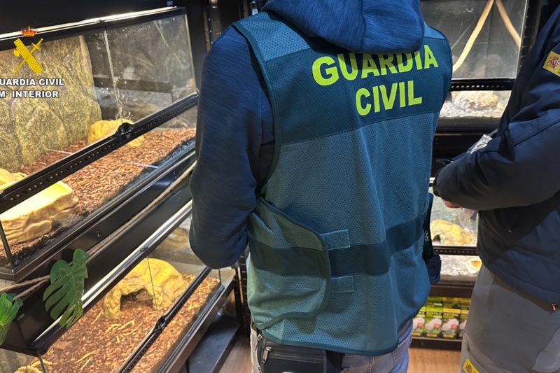 Intervenidos cerca de 500 animales exóticos protegidos en un falso refugio de Ávila