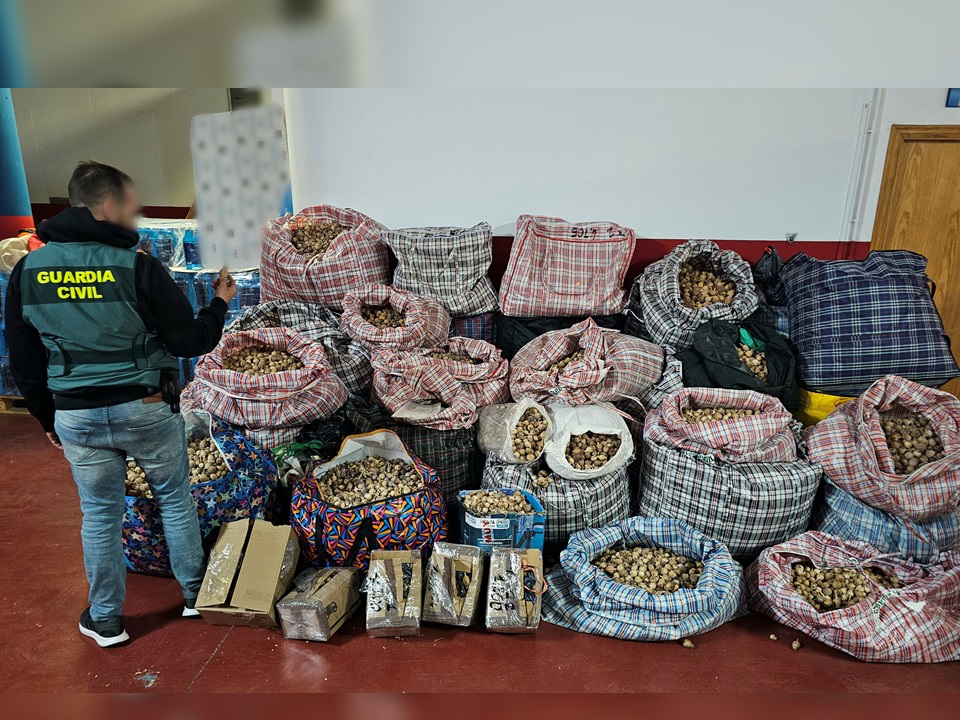 Tres detenidos por robar y enviar adormidera a España y Estados Unidos