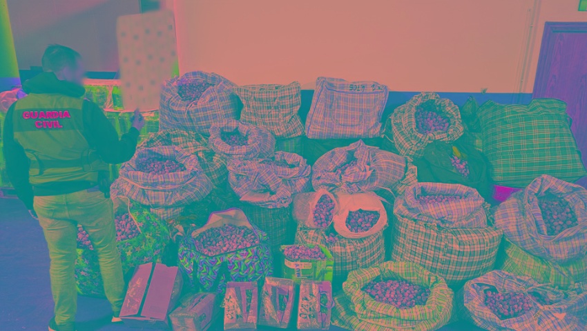 Tres detenidos por robar y enviar adormidera a España y Estados Unidos