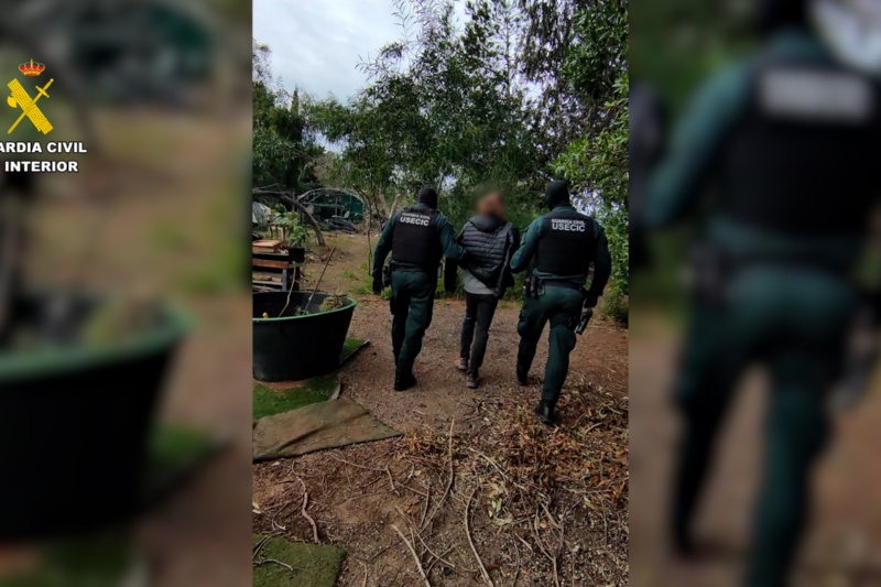 Detenidos los cuatro principales integrantes del grupo hacktivista ‘Anonymous Fénix’ por ciberataques contra organismos públicos