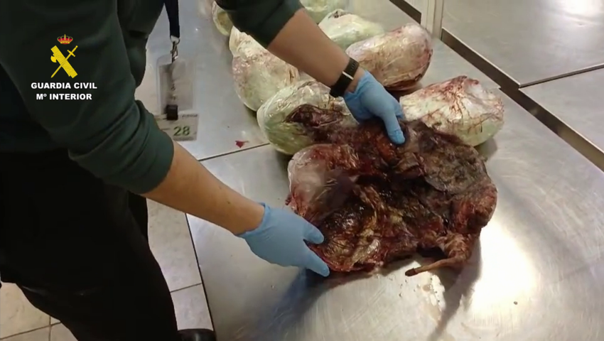 Incautados 15 pangolines en una maleta en el aeropuerto Adolfo Suárez Madrid-Barajas