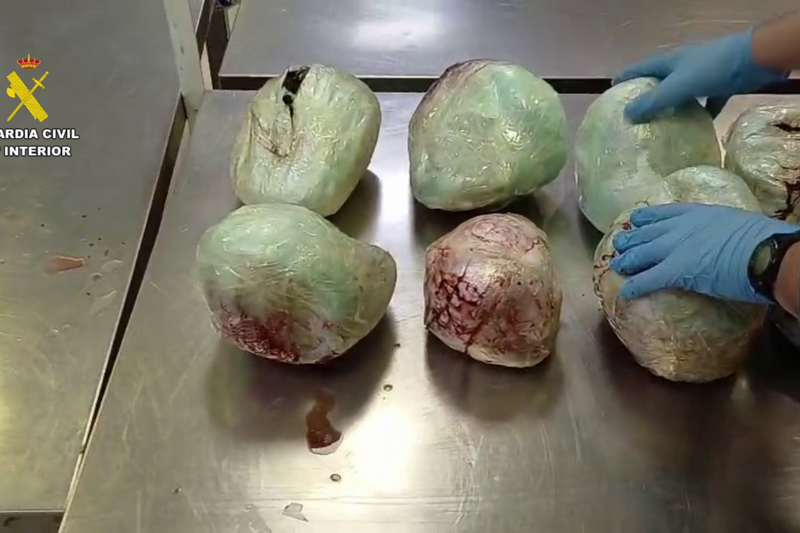 Incautados 15 pangolines en una maleta en el aeropuerto Adolfo Suárez Madrid-Barajas