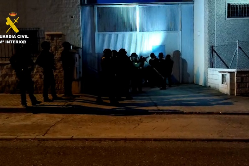 Seis detenidos y más de 10.000 plantas de marihuana intervenidas en Segovia, Toledo y Madrid