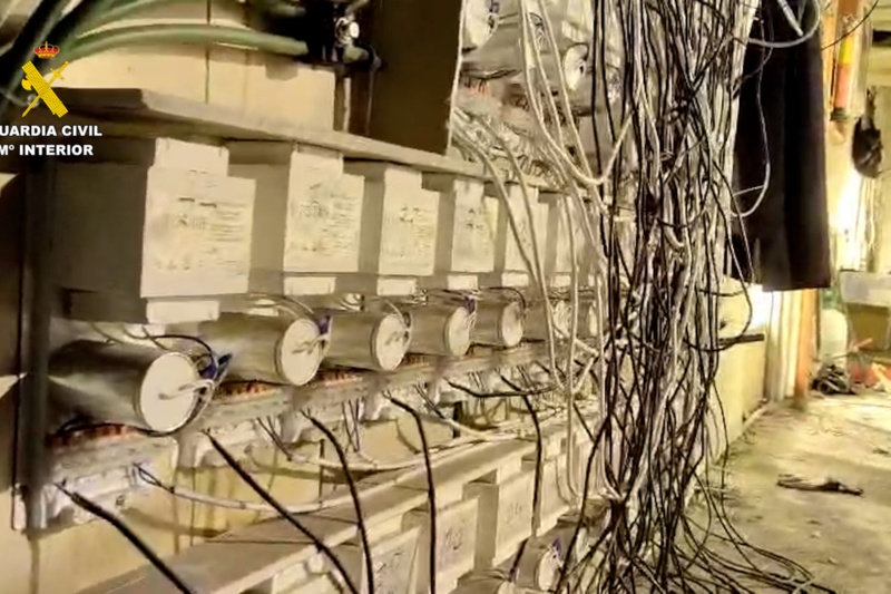 Seis detenidos y más de 10.000 plantas de marihuana intervenidas en Segovia, Toledo y Madrid