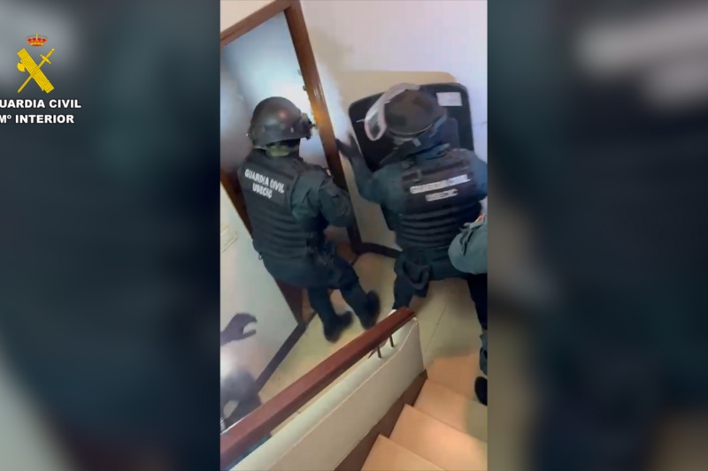 Seis detenidos y más de 10.000 plantas de marihuana intervenidas en Segovia, Toledo y Madrid