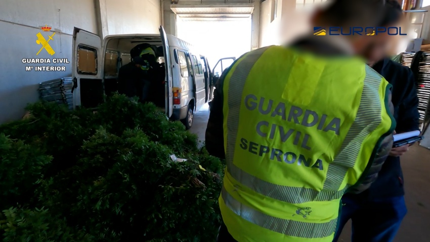 Detenidas 10 personas por expoliar cerca de mil toneladas de lentisco y exportarlo desde Tarragona a Europa
