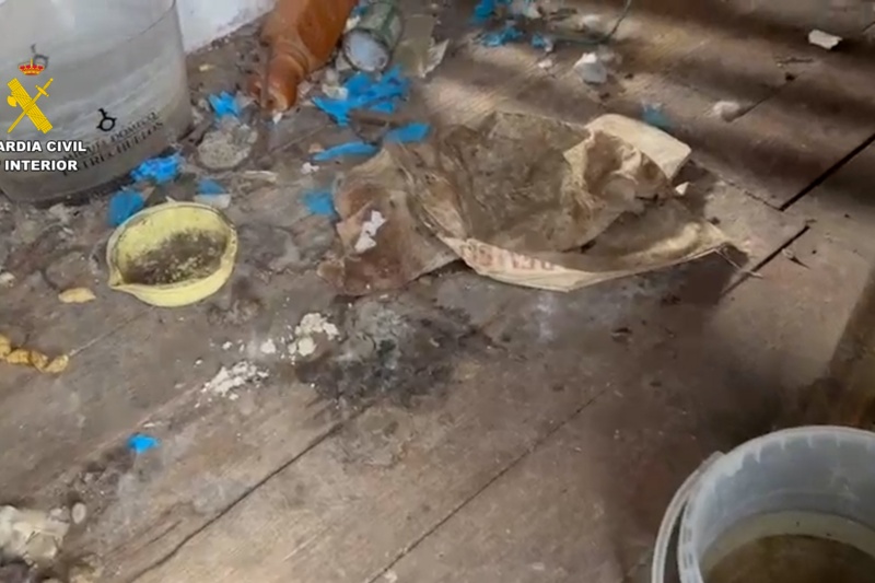 Investigadas 18 personas por maltrato de 75 perros en Cádiz