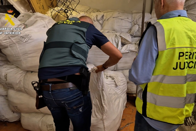 Agente de la Guardia Civil y perito judicial durante los registros de los locales y almacenes