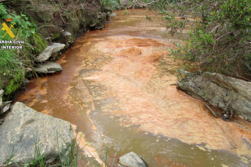 vertido de líquidos altamente contaminantes en la rivera de Calaboza (Huelva)