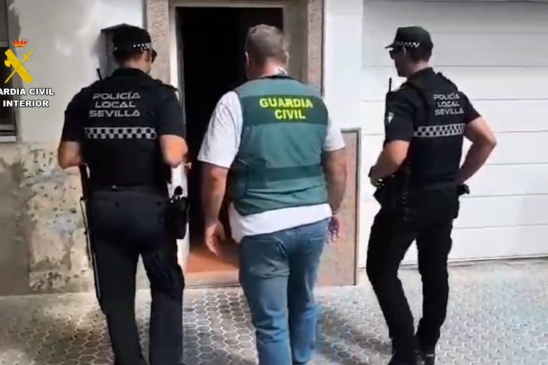 Fuerzas actuantes en la operación Fuerzas actuantes en la operación