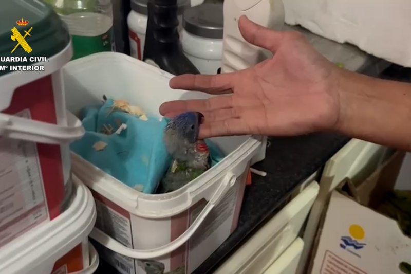 Inspección de recipientes por agentes de la Guardia Civil Inspección de recipientes por agentes de la Guardia Civil