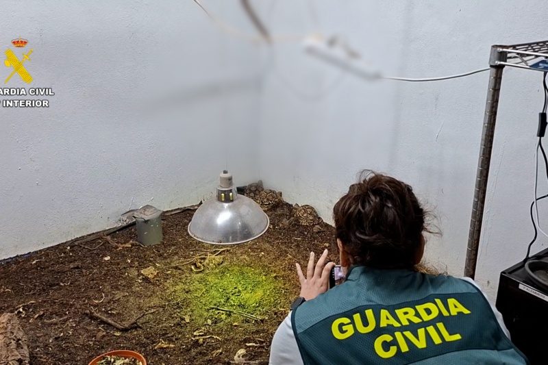Especialista de Guardia Civil con reptiles intervenidos Especialista de Guardia Civil con reptiles intervenidos