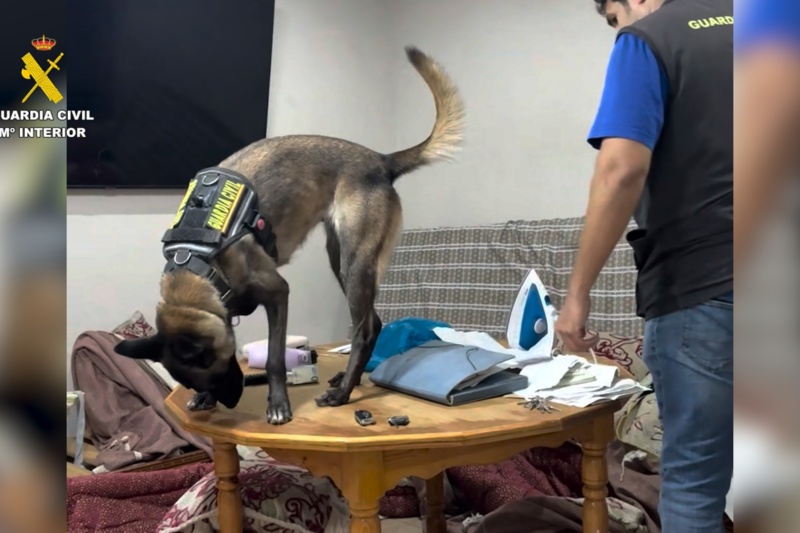 Desarticulada una organización criminal que favorecía la migración irregular en Melilla Desarticulada una organización criminal que favorecía la migración irregular en Melilla