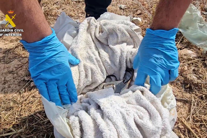 Dos detenidos por disparar en la cabeza a un joven en Orihuela Costa (Alicante)
