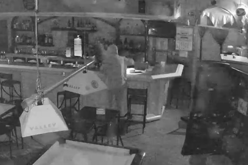 Imagen de la camara de seguridad en el momento en que se estaba produciendo uno de los  robos
