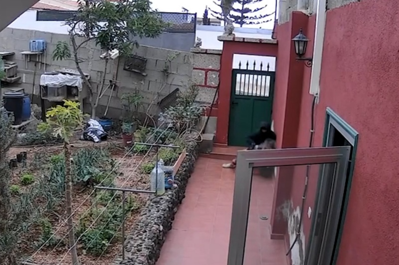 /.galleries/Noticias/30-08-25_Robo_Vivienda_Tenerife_02.jpg