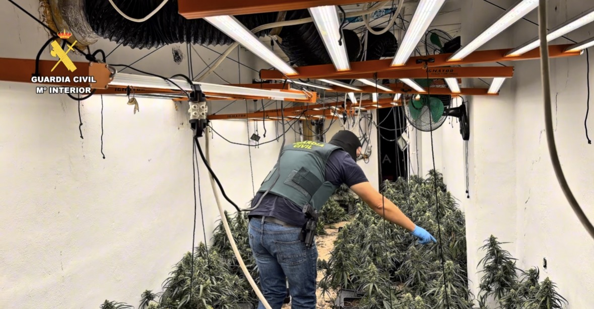 Guardia civil interviniendo marihuana